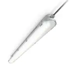 Philips Réglette LED Étanche CoreLine WT120C G2 42.9W 6000lm - 840 Blanc Froid | 150cm 